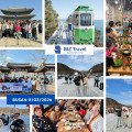 HÀNH TRÌNH BUSAN – SEOUL ĐÃ HOÀN THÀNH TRỌN VẸN! Đoàn khởi hành 11.03.2026 | Bay từ TP. Hồ Chí Minh HÀNH TRÌNH BUSAN – SEOUL ĐÃ HOÀN THÀNH TRỌN VẸN! Đoàn khởi hành 11.03.2026 | Bay từ TP. Hồ Chí Minh