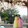 Du lịch Hàn Quốc: Seoul - Jeju - Camellia Hill - Everland 6N5D từ Hà Nội giá tốt năm 2025