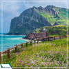 Du lịch Hàn Quốc: Seoul - Jeju - Camellia Hill - Everland 6N5D từ Hà Nội giá tốt năm 2025