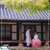 Tour Singature | Du lịch Hàn Quốc: Busan - Jeonju - Seoul 6N5D từ Hà Nội năm 2025