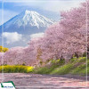 Du lịch Nhật Bản: Tokyo - Kyoto - Osaka 6N5D từ Hà Nội năm 2025 cùng BizTravel hành trình mùa hè vàng